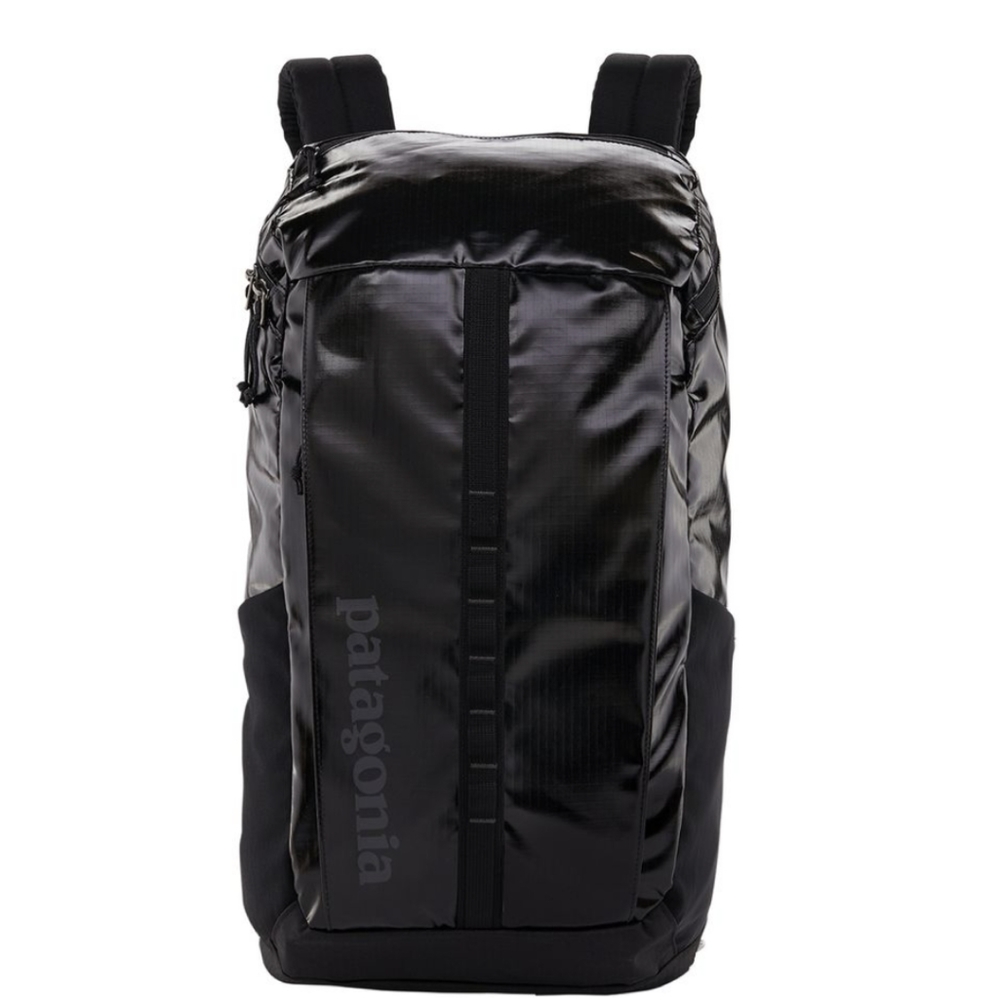 Patagonia Black Hole 25L Backpack